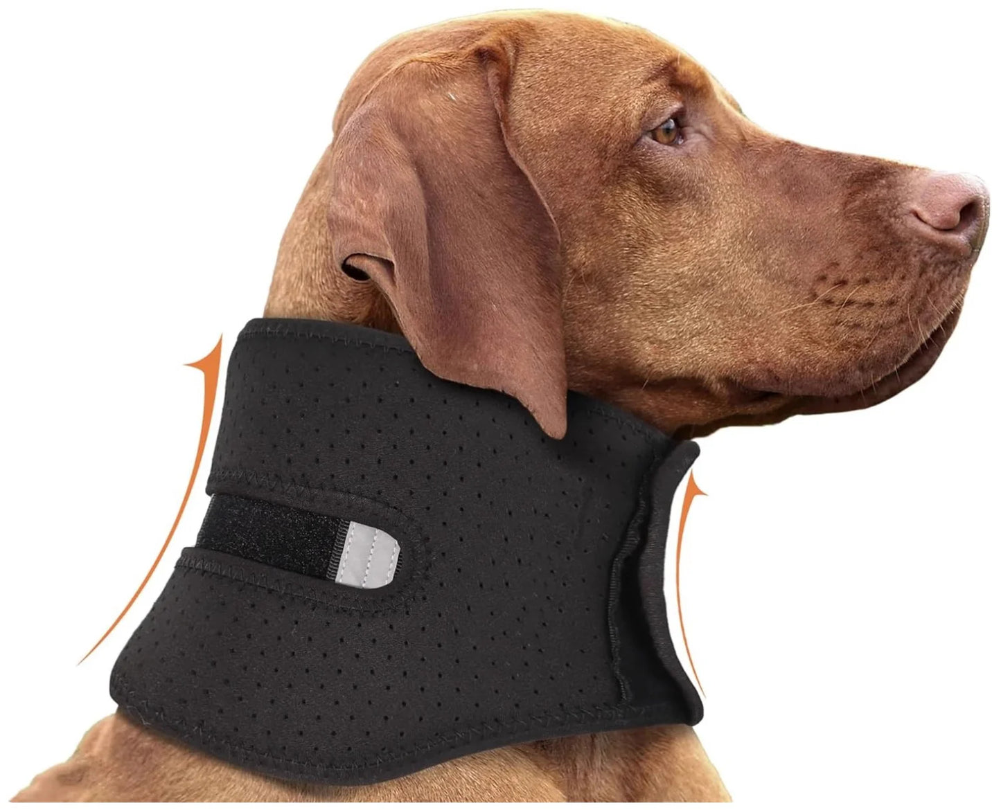 Adjustable Dog Neck Brace - Supportive & Comfortable Neck Collar for Dogs