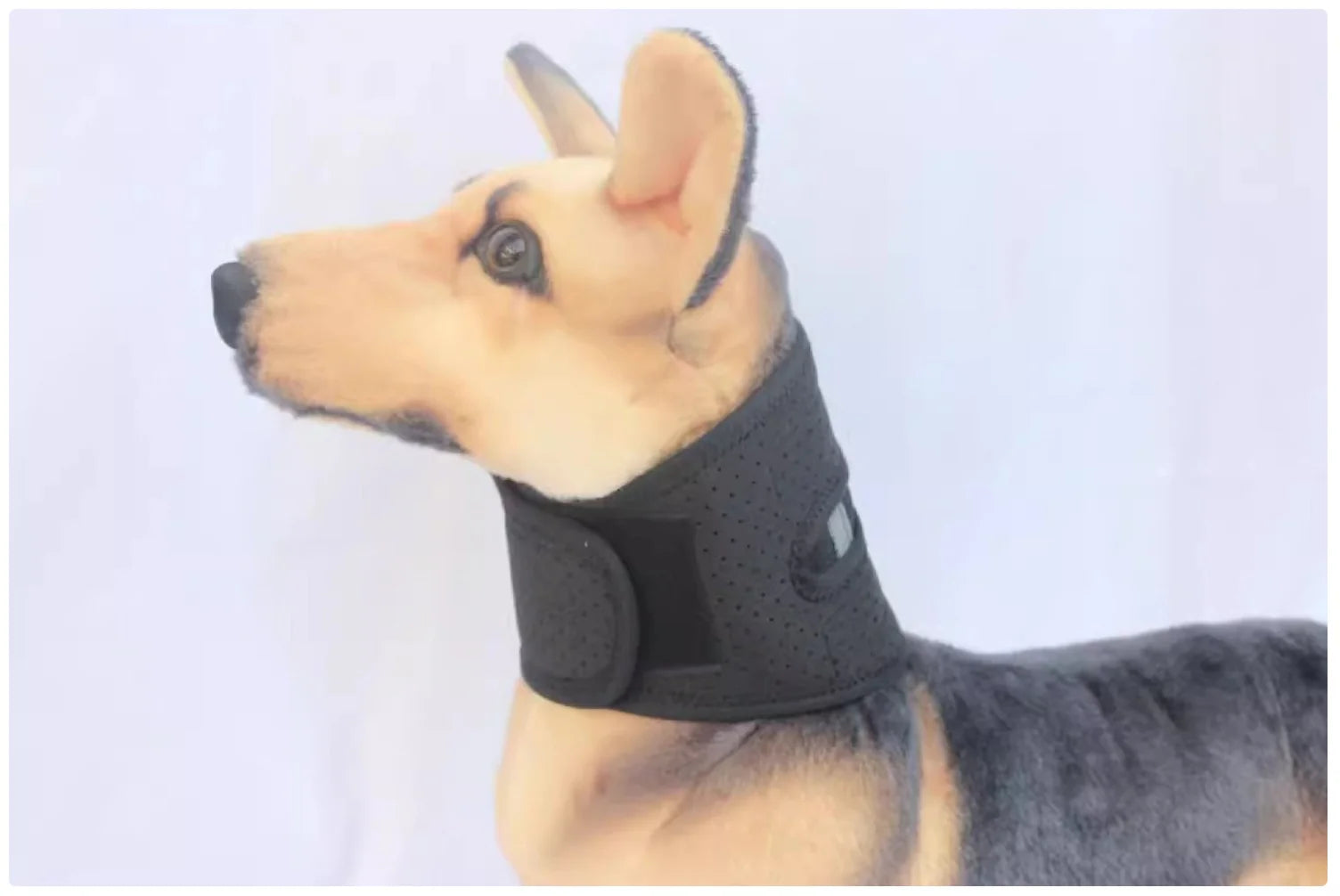 Adjustable Dog Neck Brace - Supportive & Comfortable Neck Collar for Dogs