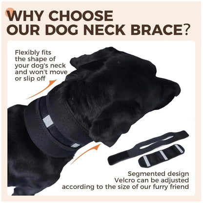 Adjustable Dog Neck Brace - Supportive & Comfortable Neck Collar for Dogs