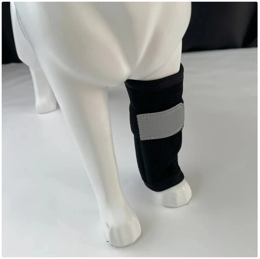 Dog Front Leg Protector - Adjustable & Comfortable Leg Sleeve for Canine Injury Recovery