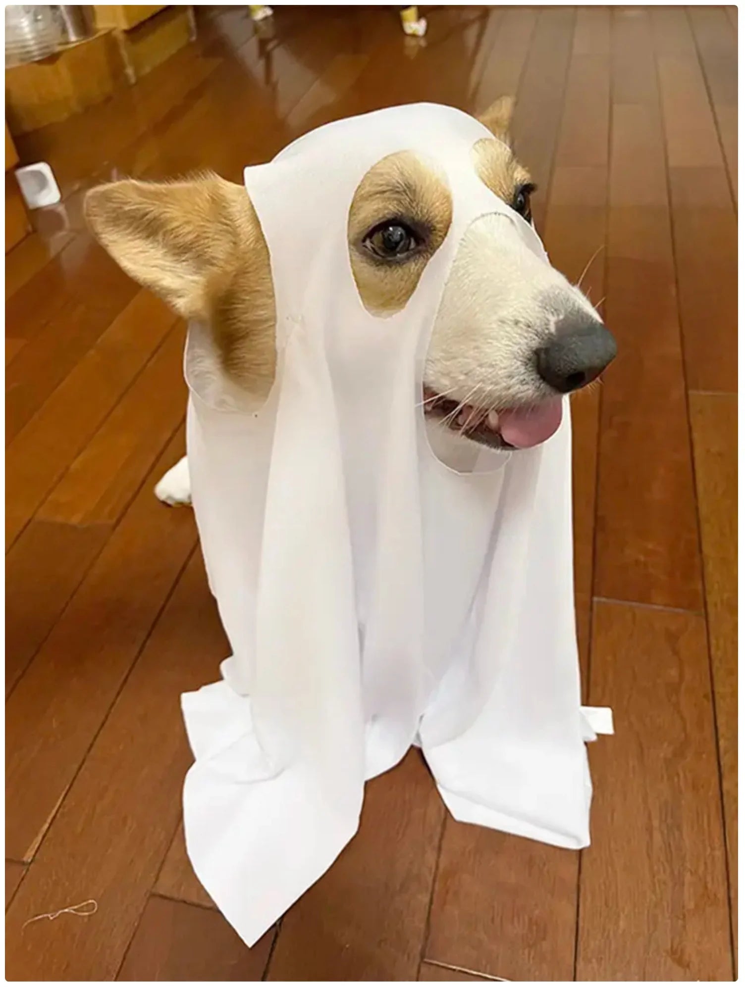Halloween Dog Ghost Costume Cloak - Spooky Pet Cape for Halloween Fun
