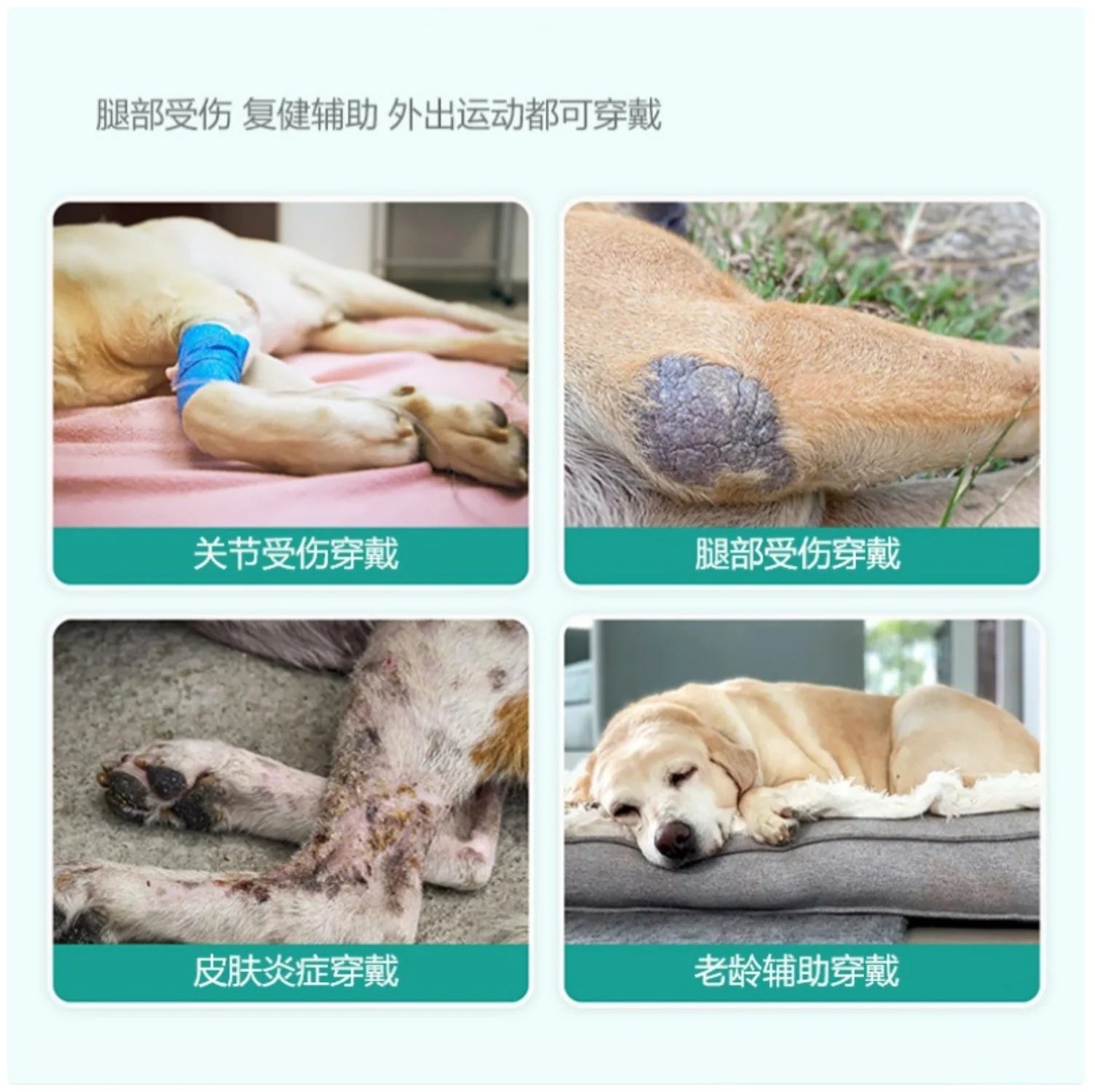 Dog Hind Leg Protector - Premium Support for Canine Joints