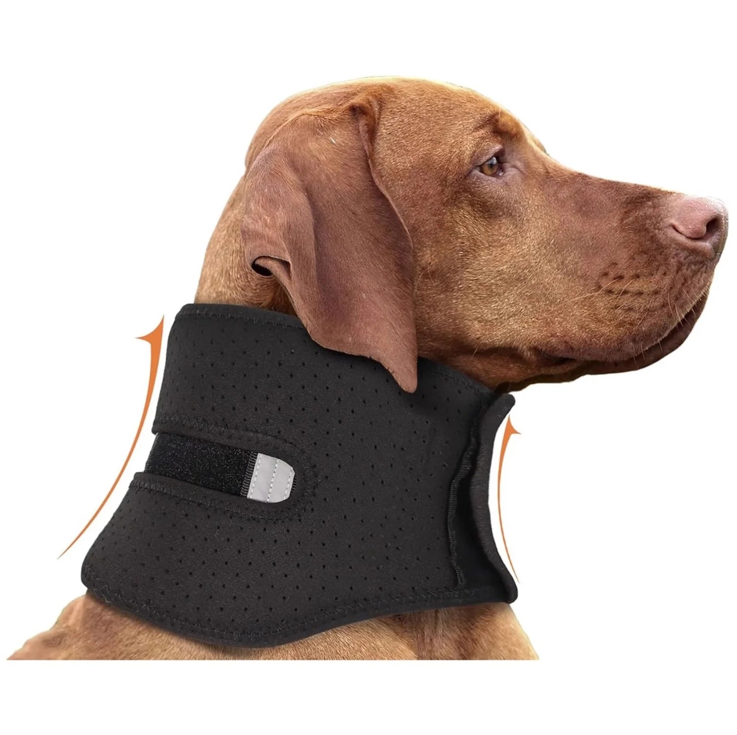 Adjustable Dog Neck Brace - Supportive & Comfortable Neck Collar for Dogs