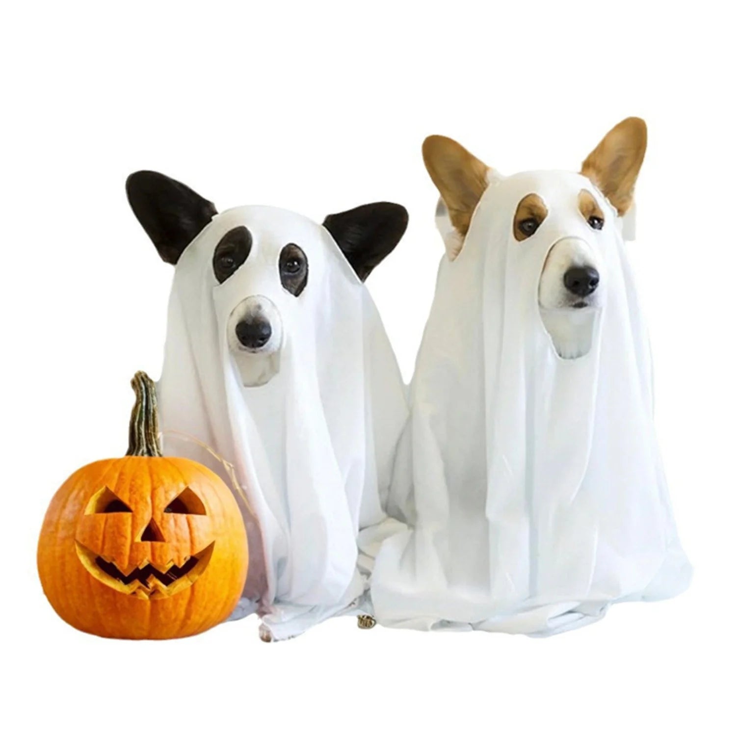 Halloween Dog Ghost Costume Cloak - Spooky Pet Cape for Halloween Fun