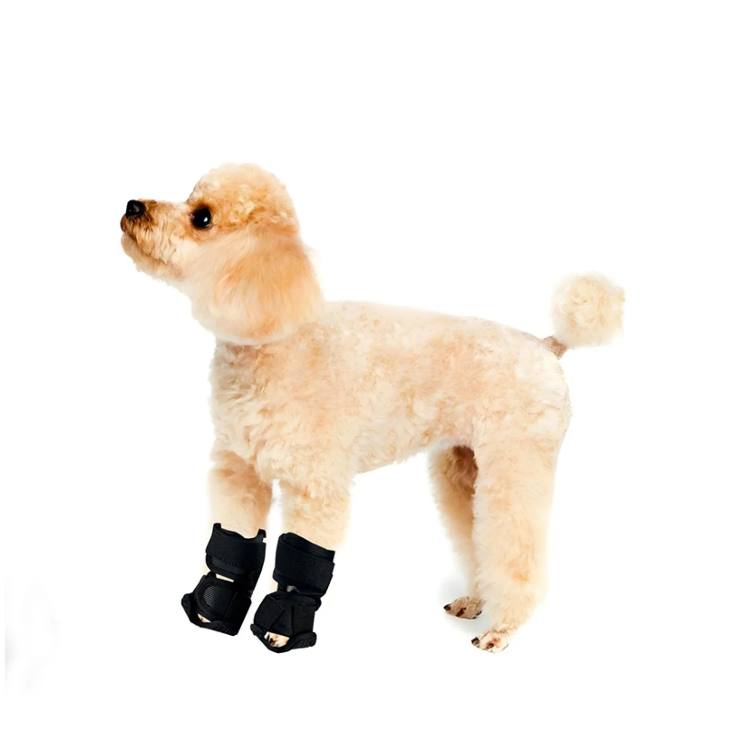 Dog Leg Support Brace - Adjustable Pet Joint Protector for Injury Recovery