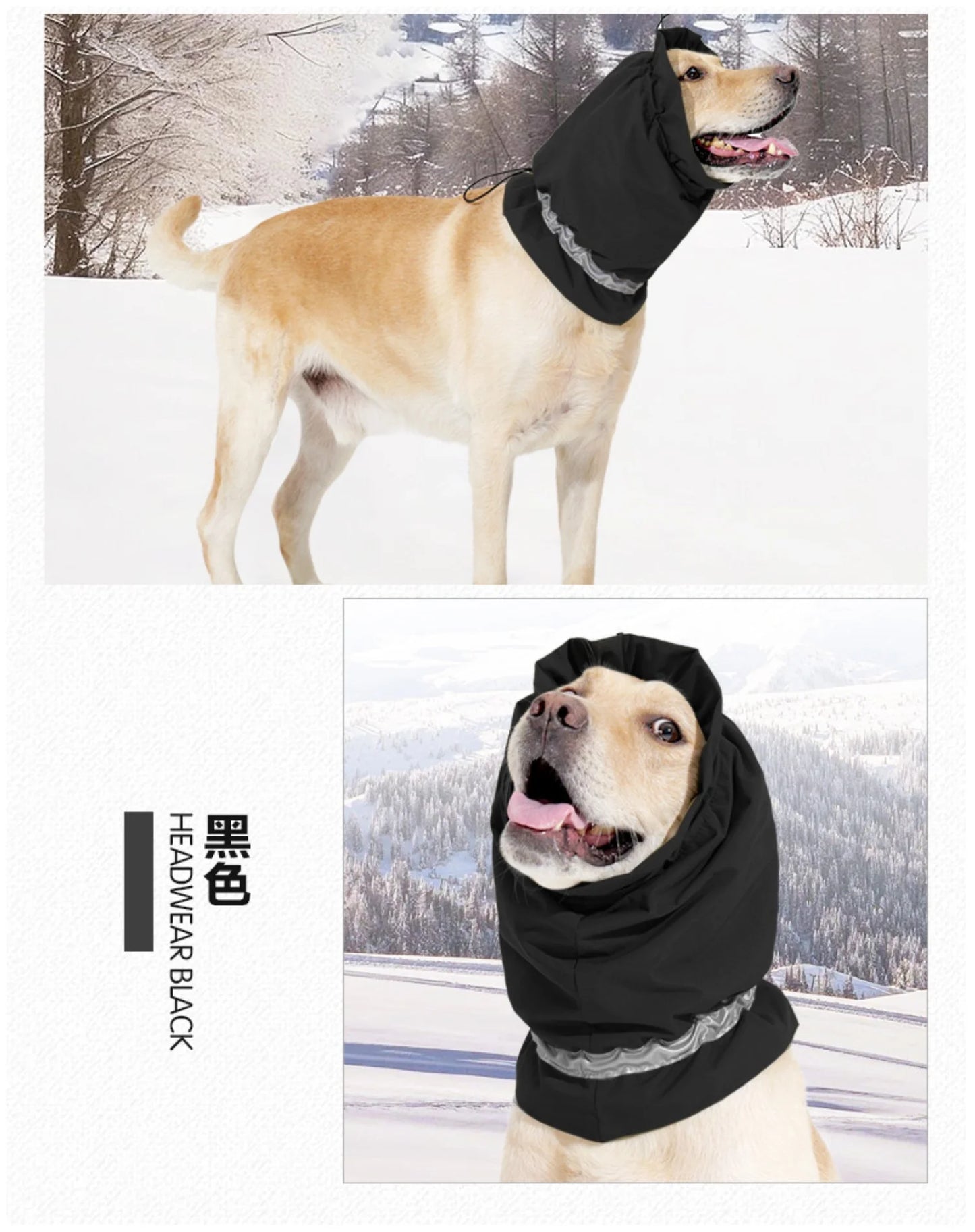 Winter Dog Snood - Waterproof & Warm Dog Neck Warmer with Hood