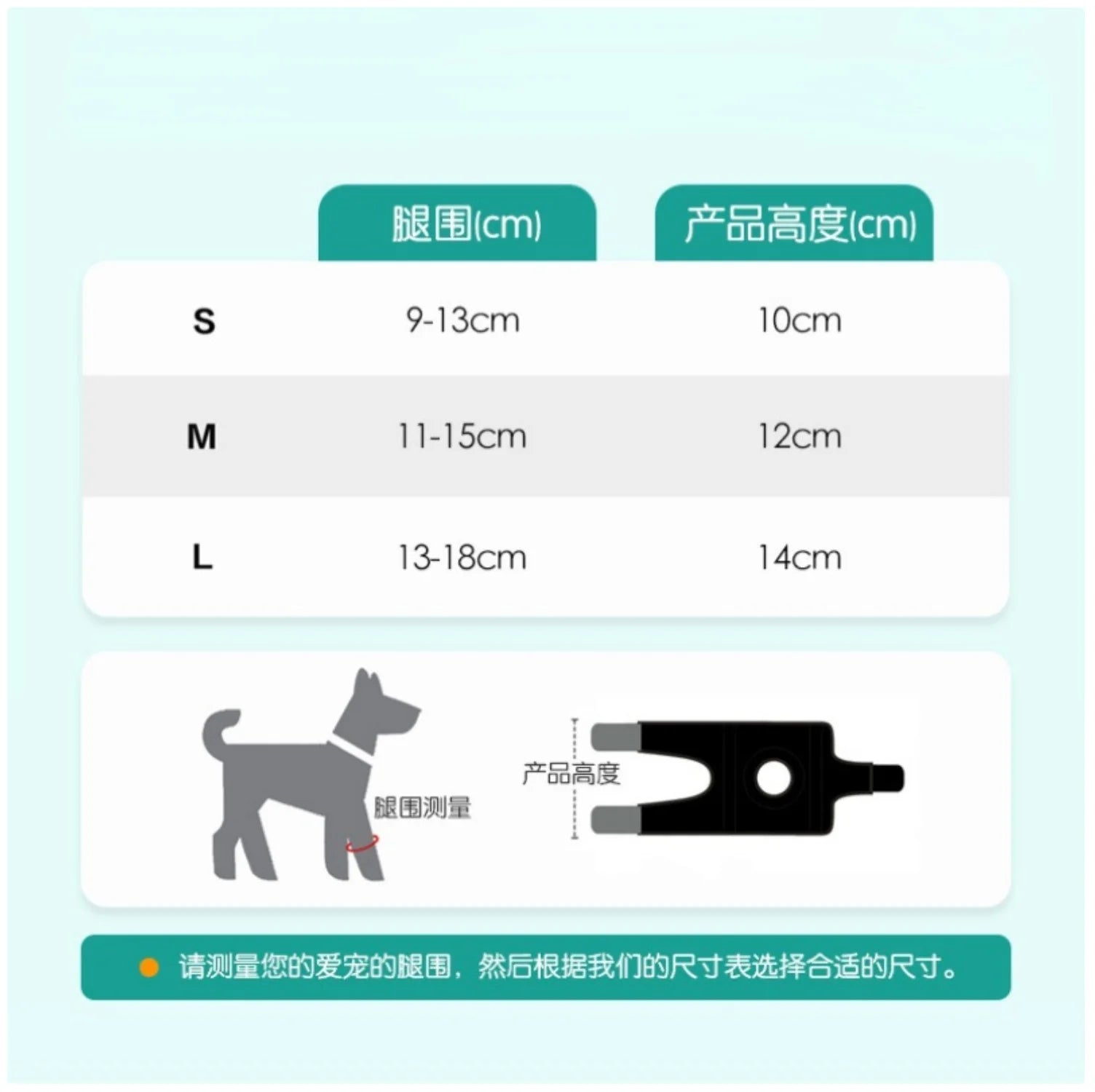 Dog Hind Leg Protector - Premium Support for Canine Joints