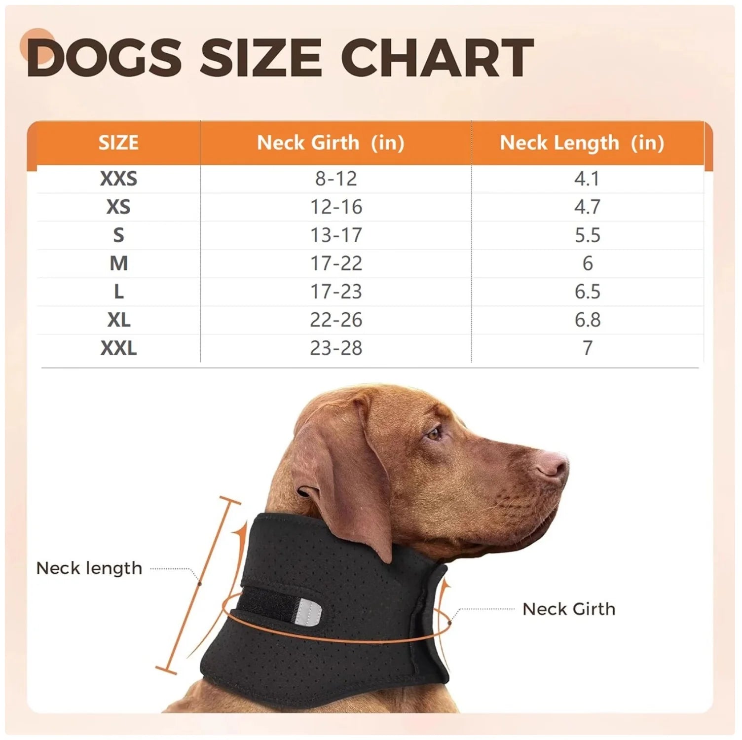 Adjustable Dog Neck Brace - Supportive & Comfortable Neck Collar for Dogs