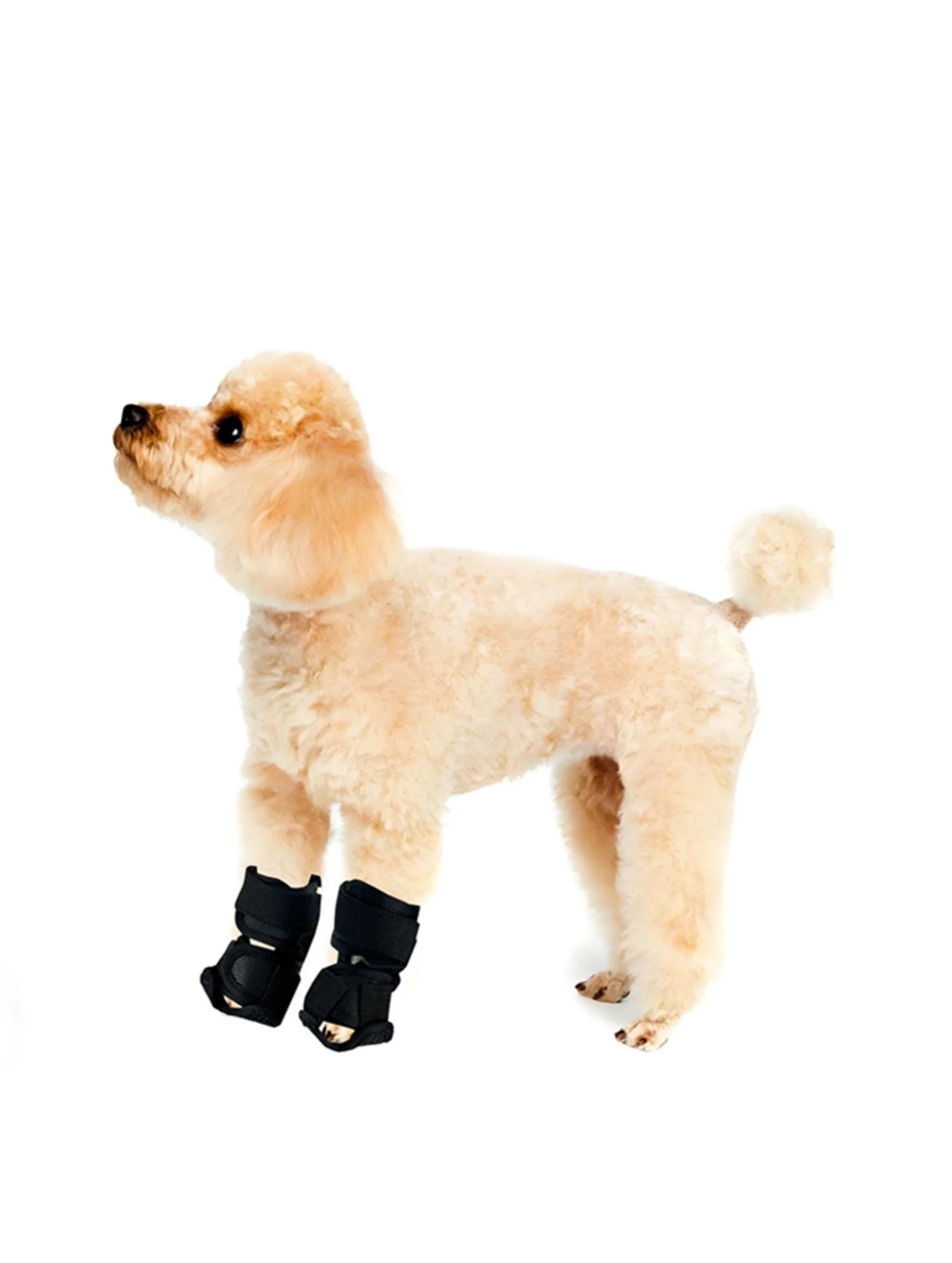 Dog Leg Support Brace - Adjustable Pet Joint Protector for Injury Recovery