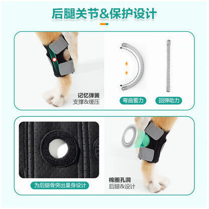 Dog Hind Leg Protector - Premium Support for Canine Joints