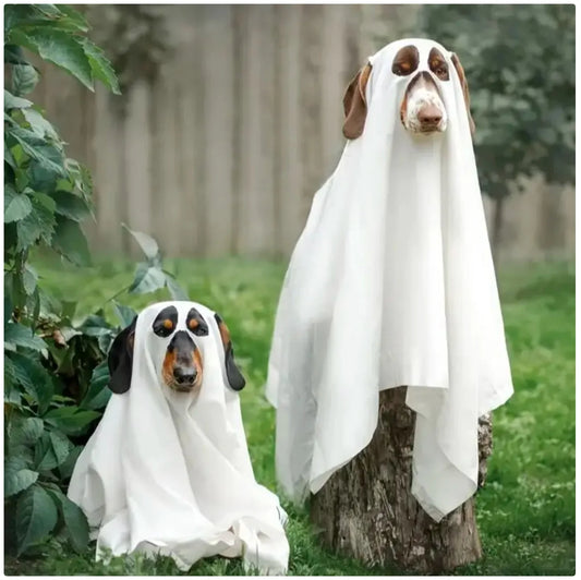 Halloween Dog Ghost Costume Cloak - Spooky Pet Cape for Halloween Fun
