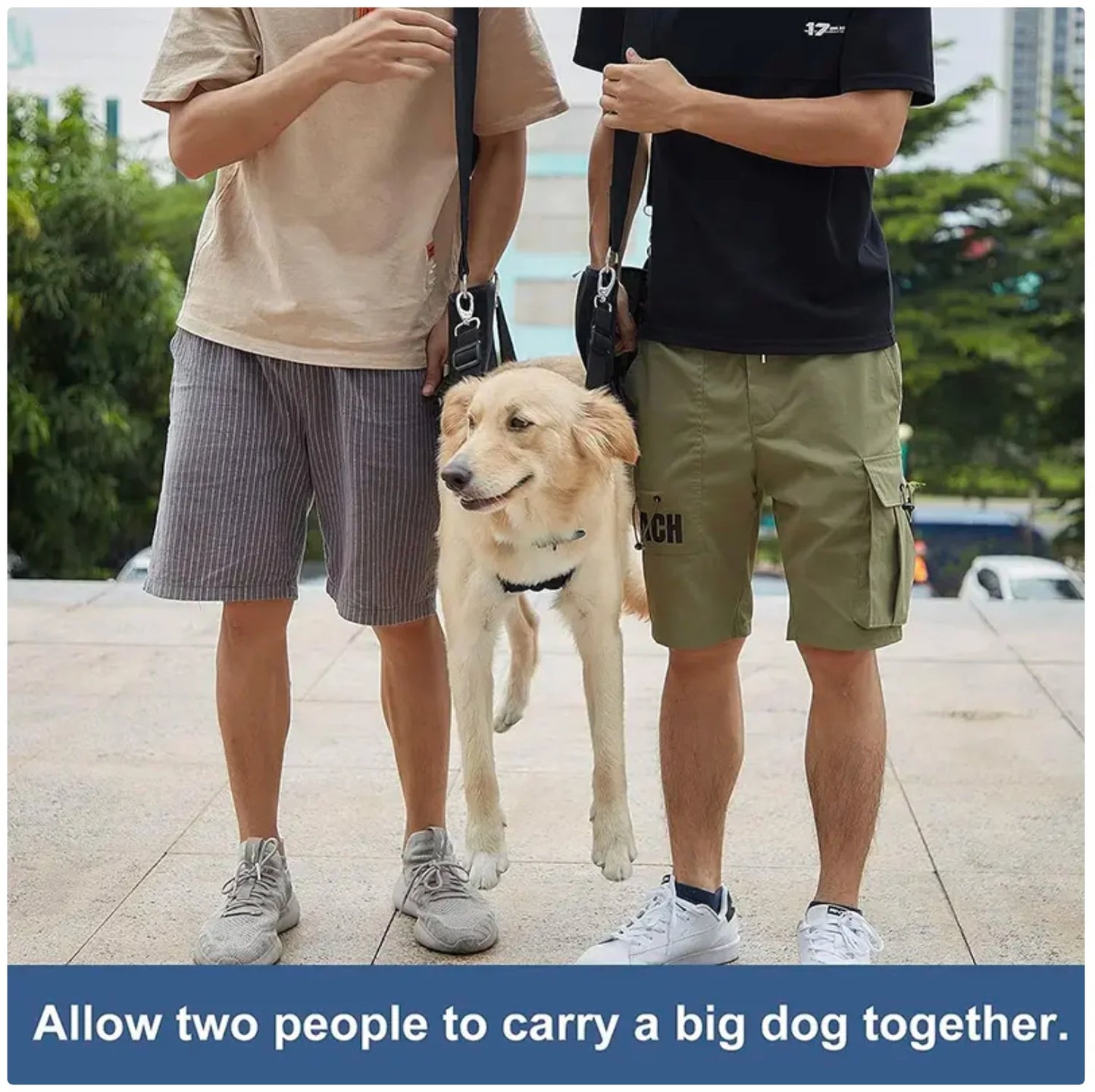 Dog Lift Harness - Support Sling for Elderly, Injured, or Disabled Dogs