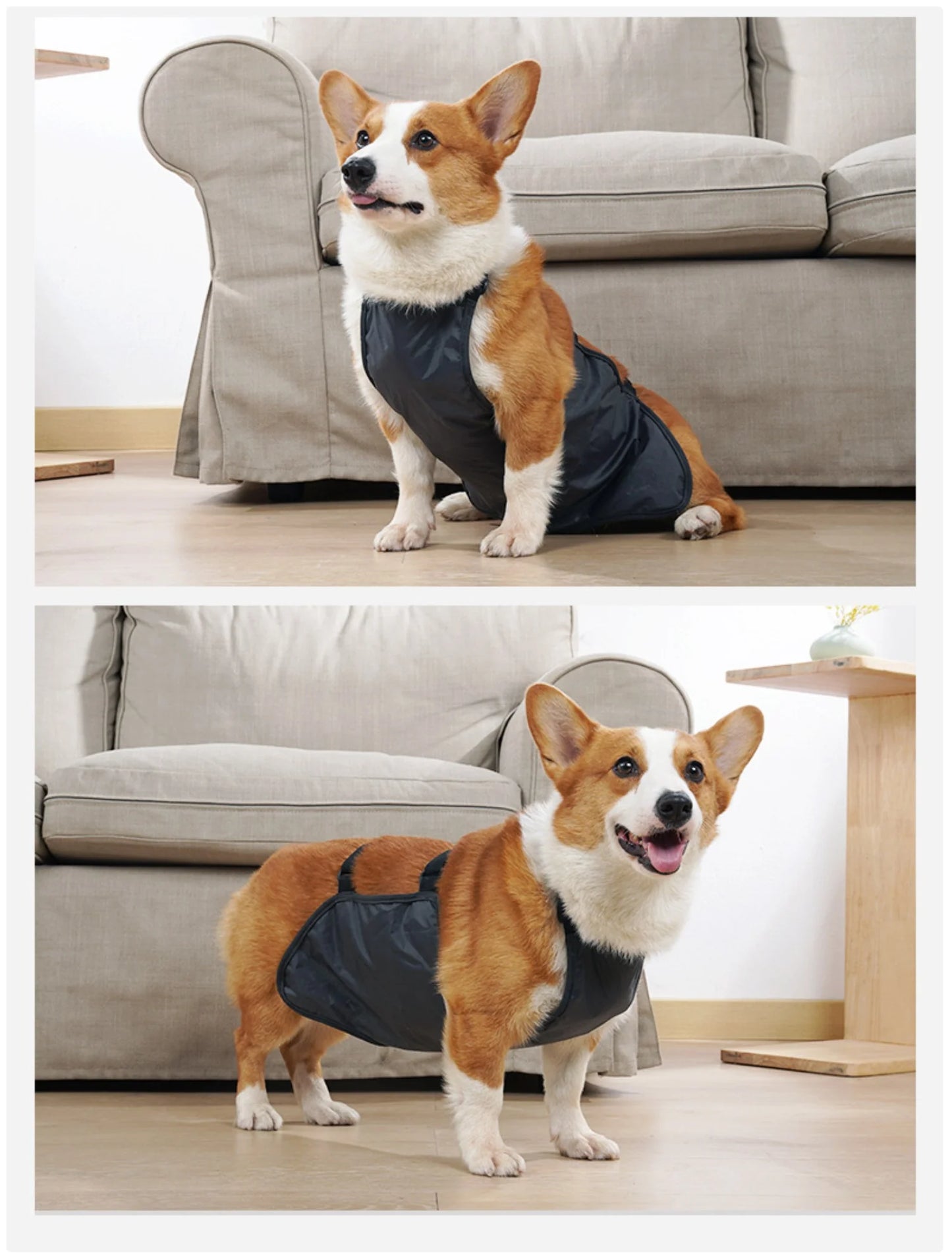 Waterproof Dog Belly Band - Breathable Apron for Medium & Large Dogs