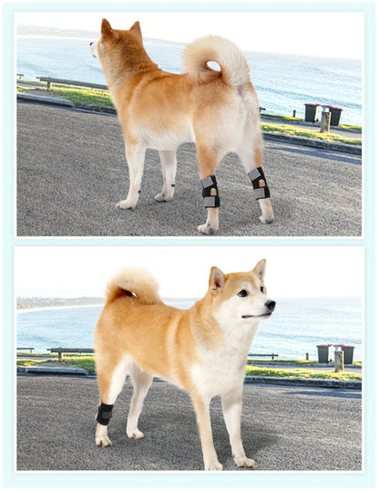 Dog Hind Leg Protector - Premium Support for Canine Joints