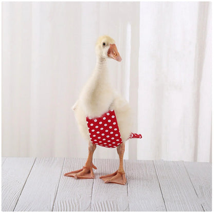 Cute Duck Diaper - Stylish & Functional Diaper for Pet Ducks