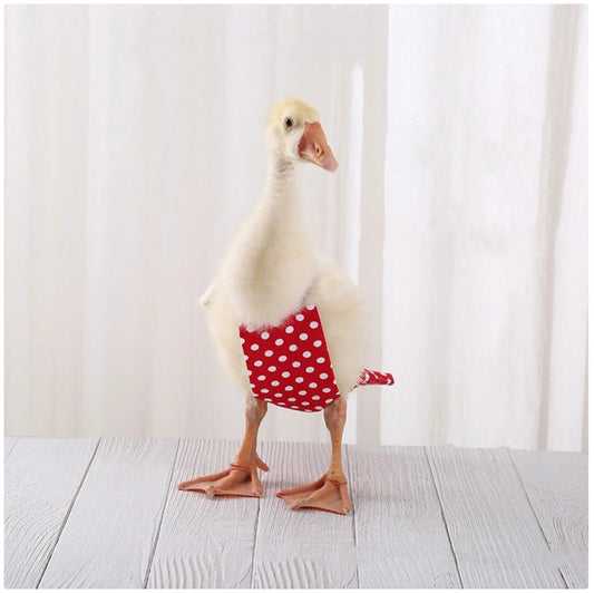 Cute Duck Diaper - Stylish & Functional Diaper for Pet Ducks