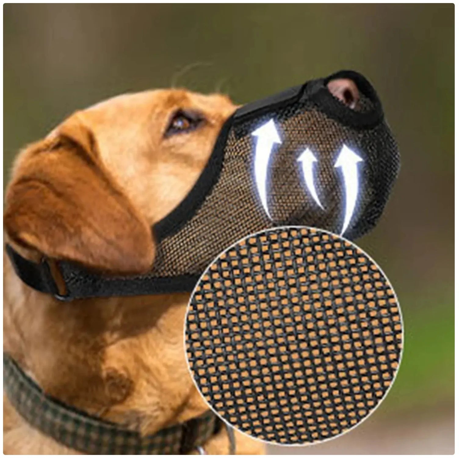 Adjustable Soft Mesh Dog Muzzle - Breathable & Protective for Safe Walks